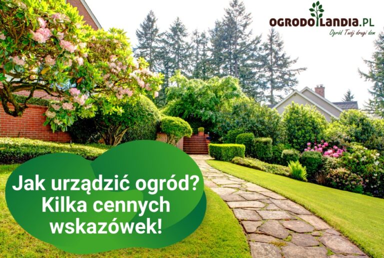 Jak urządzić ogród?