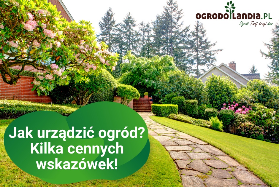 Jak urządzić ogród? Kilka cennych wskazówek dotyczących projektowania ogrodu.