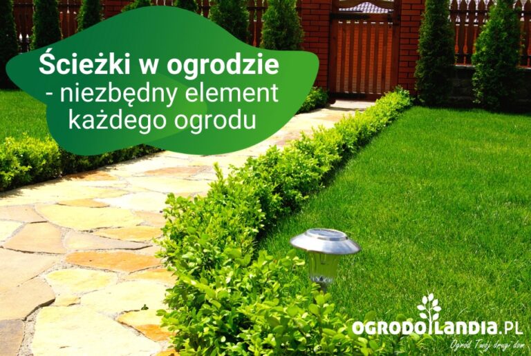 Ścieżki w ogrodzie – typy i wykorzystanie
