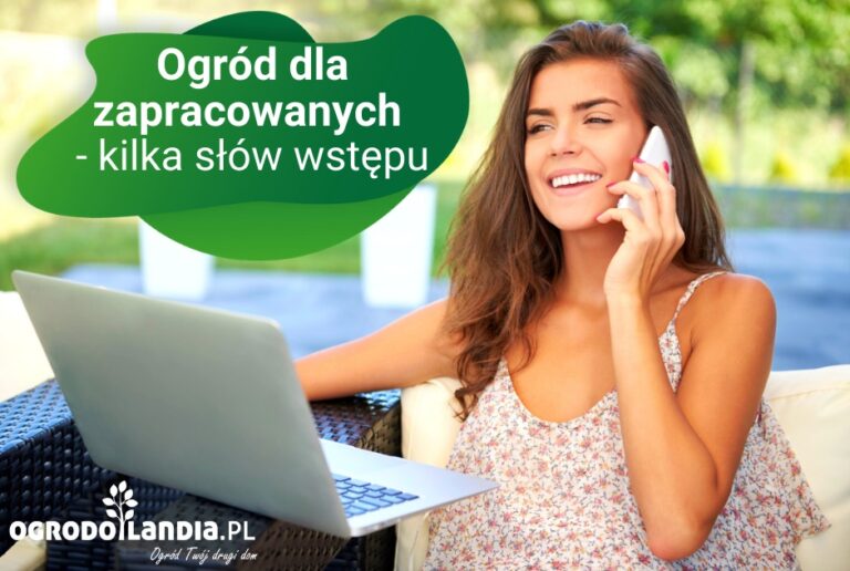 Ogród dla zapracowanych – podstawy