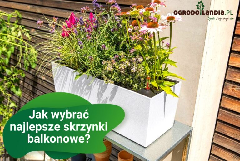 Skrzynki balkonowe – jak je wybrać?