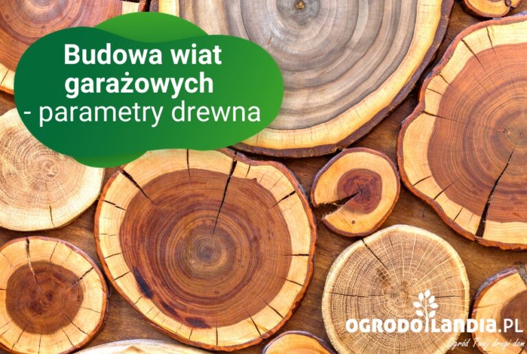 Informacje o drewnie