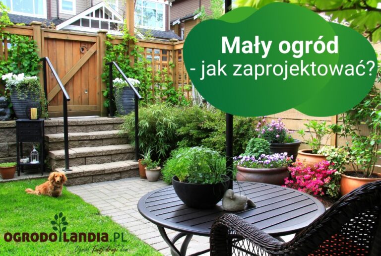 Jak zaprojektować mały ogród