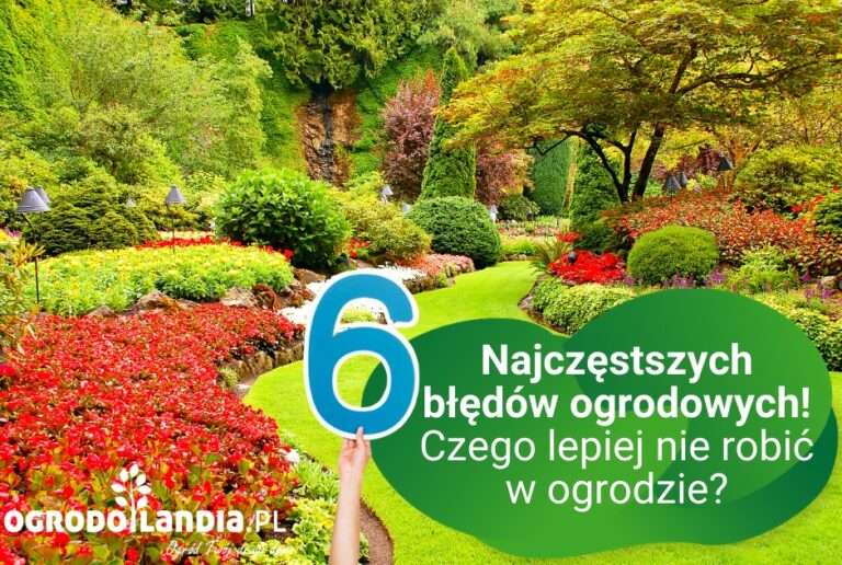 Oto 6 najczęstszych błędów ogrodowych: