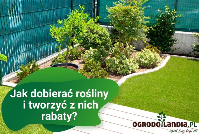 Jak dobierać rośliny do rabat