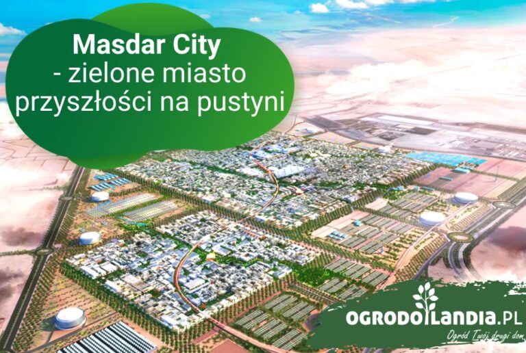 Masdar City