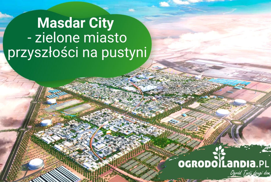 Masdar City - zielone miasto przyszłości na pustyni
