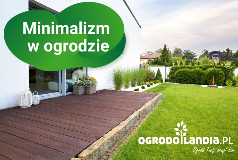 Minimalizm w ogrodzie