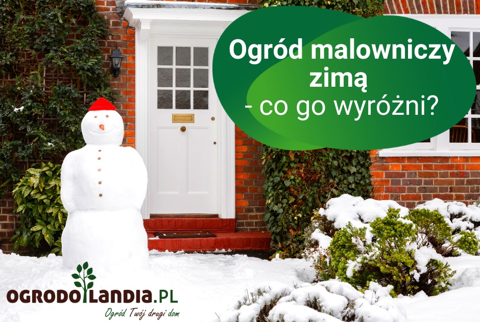 Ogród malowniczy zimą - co go wyróżni?