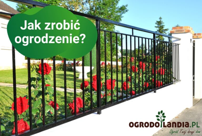 Ogrodzenie ogrodu – jak zrobić i z czego