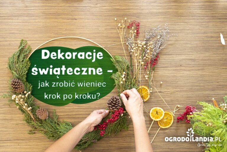 Wieniec – jedna z najpopularniejszych ozdób świątecznych