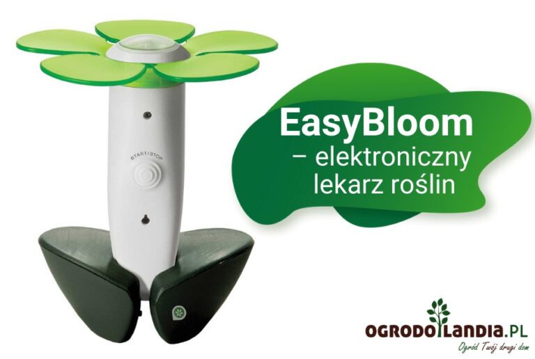 EasyBloom – innowacyjny gadżet dla ogrodników