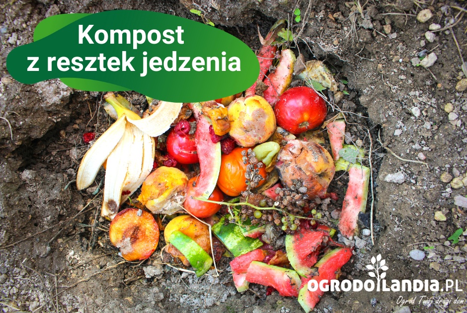 Kompost z resztek jedzenia