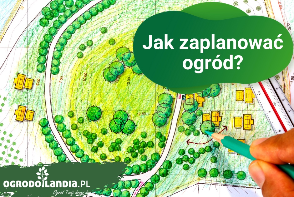 Jak zaplanować ogród?