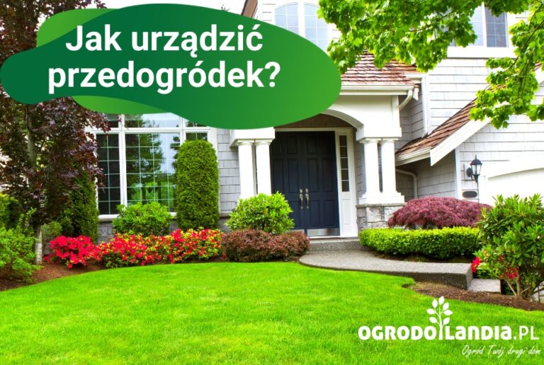 Jak urządzić przedogródek?