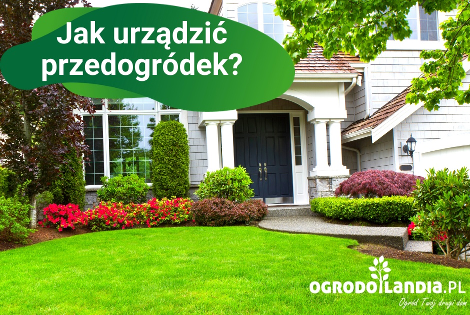 Jak urządzić przedogródek?