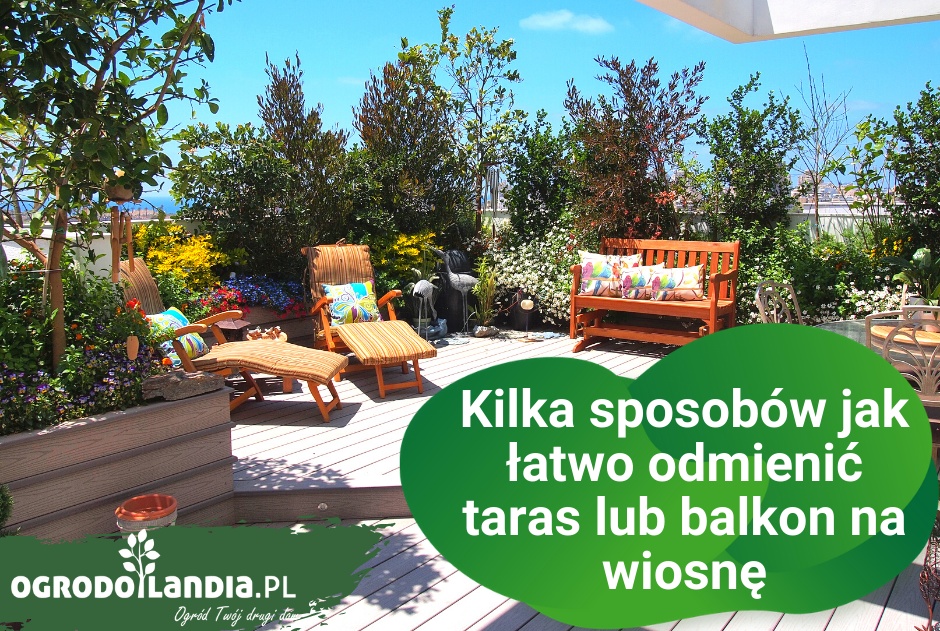 Kilka sposobów jak łatwo odmienić taras lub balkon na wiosnę