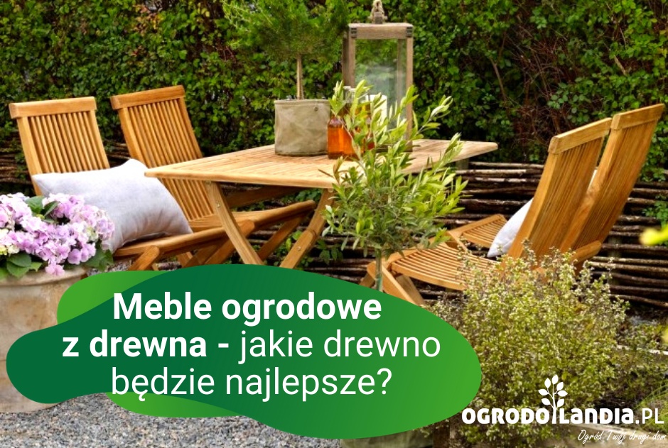Meble ogrodowe z drewna - jakie drewno będzie najlepsze?