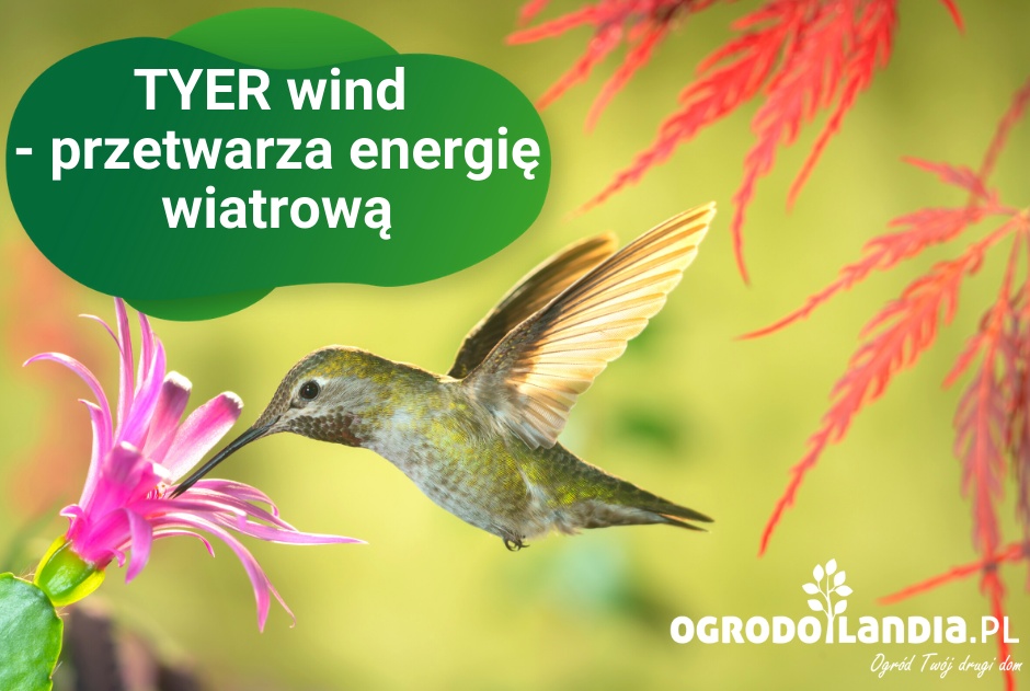 TYER wind - przetwarza energię wiatrową
