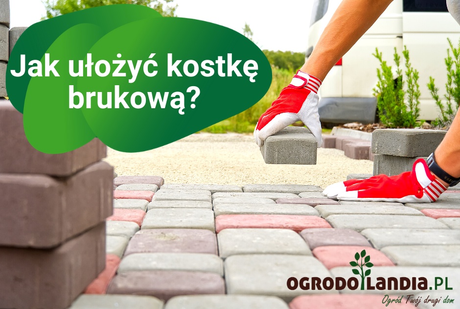 Jak ułożyć kostkę brukową?