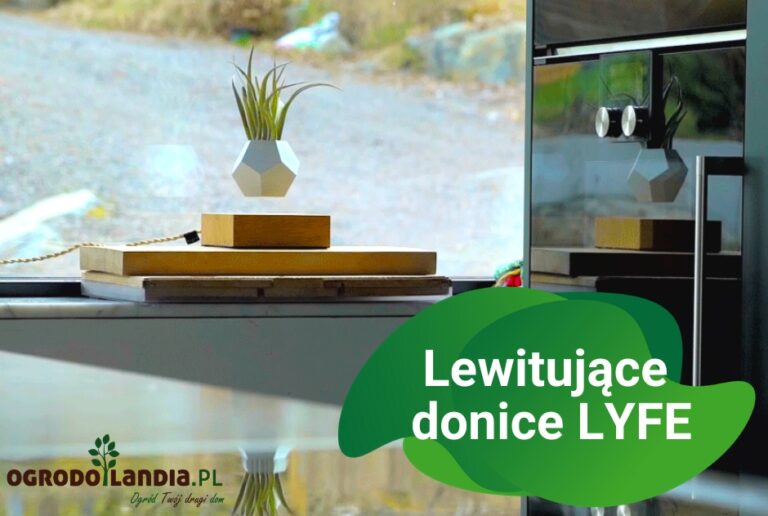 Lewitująca donica LYFE – oryginalny, praktyczny gadżet