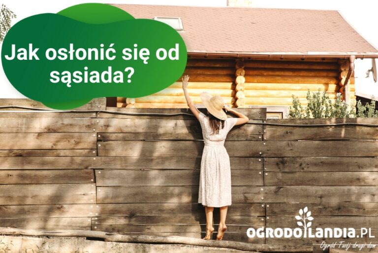 Sposoby na osłonięcie się od sąsiada