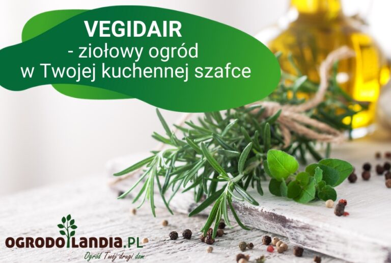 Vegidair – ziołowy ogród w Twojej kuchni