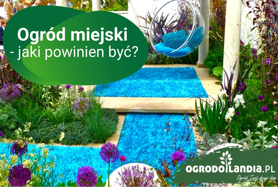 Ogród miejski - jaki powinien być?