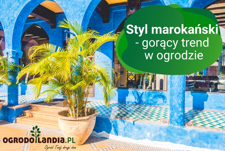 Styl marokański - gorący trend w ogrodzie