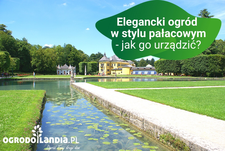 Elegancki ogród w stylu pałacowym - jak go urządzić?