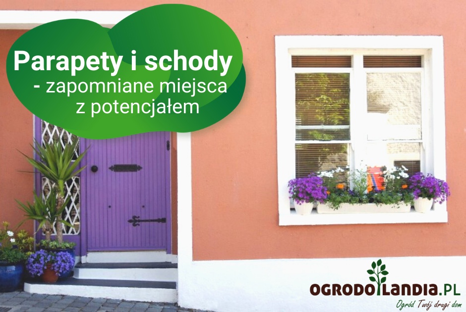 Parapety i schody - zapomniane miejsca z potencjałem