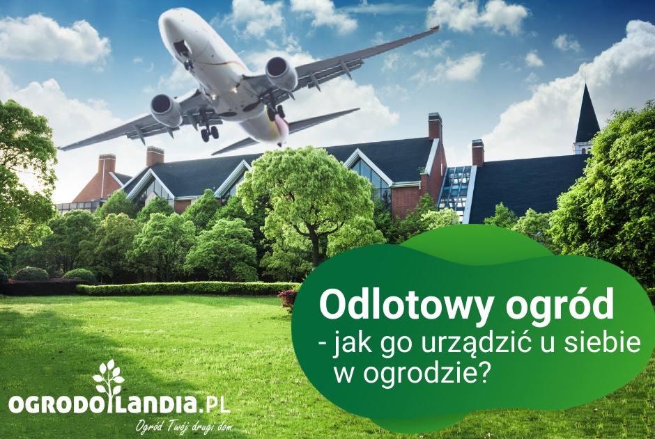 Odlotowy ogród - jak go urządzić u siebie w ogrodzie?