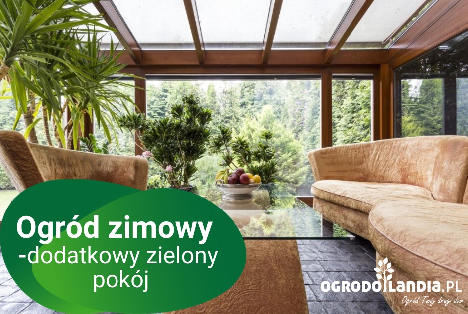Ogród zimowy - dodatkowy zielony pokój