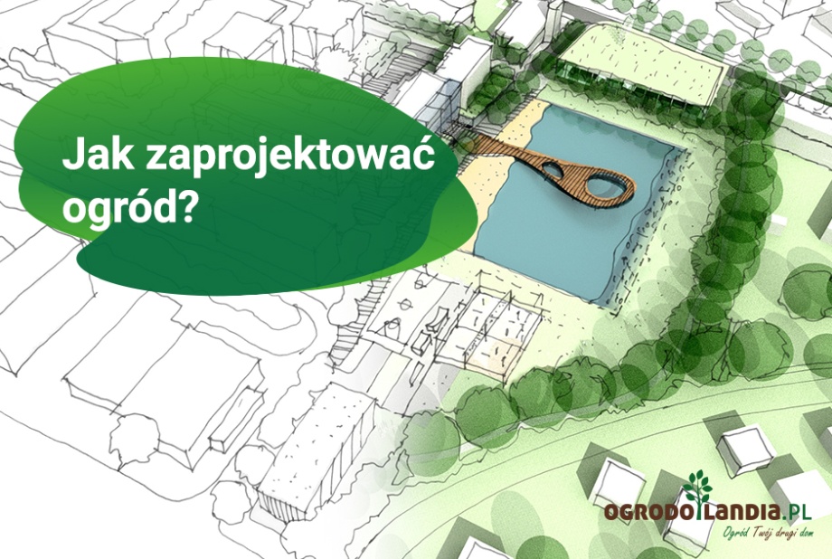 Jak zaprojektować ogród?