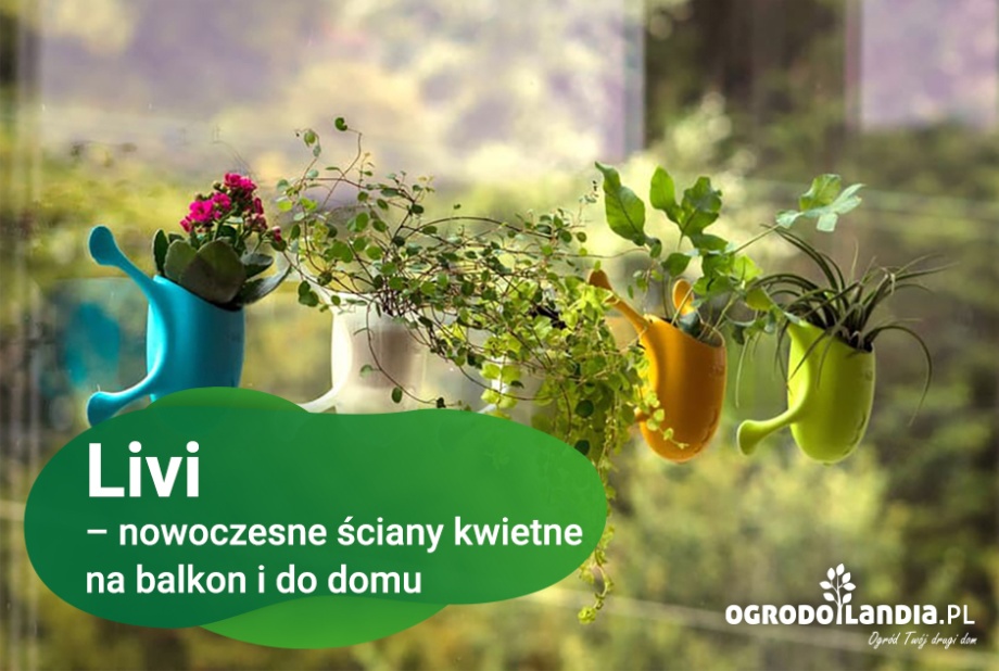 Livi – nowoczesne ściany kwietne na balkon i do domu
