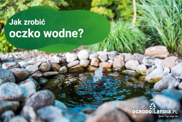 Jak zrobić oczko wodne?