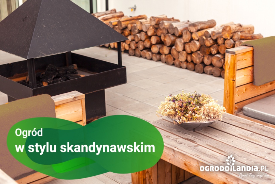 Ogród w stylu skandynawskim