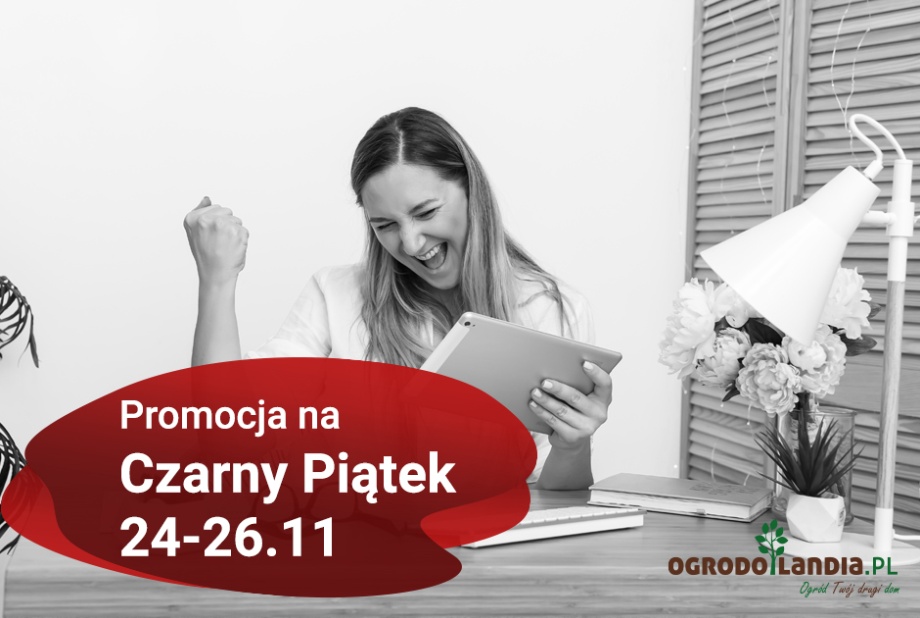 Promocja na Czarny Piątek 24-26.11