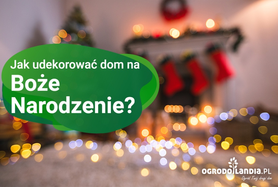 Jak udekorować dom na Boże Narodzenie?