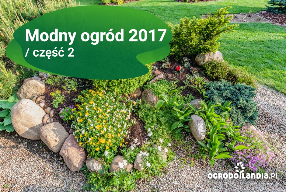 Modny ogród 2017 / część 1