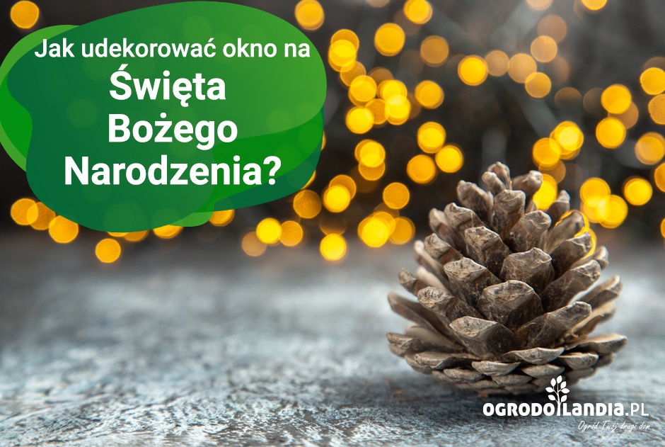 Jak udekorować okno na Święta Bożego Narodzenia?