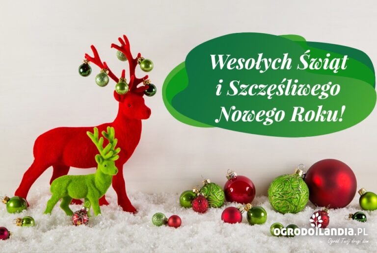 Wesołych Świąt i Szczęśliwego Nowego Roku!