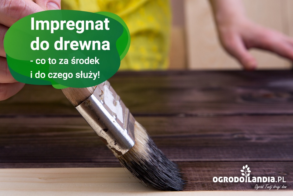 Impregnat do drewna
