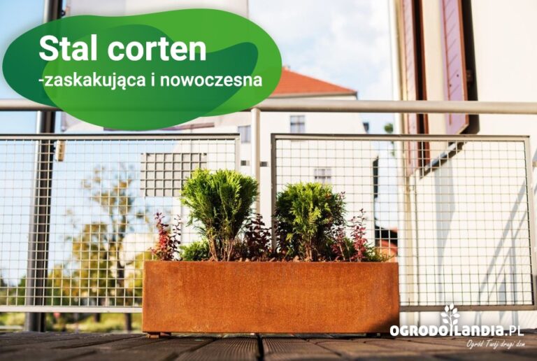 Stal corten i jej wykorzystanie w ogrodzie