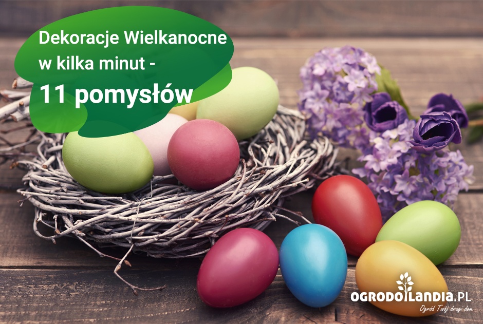 Dekoracje Wielkanocne w kilka minut - 11 pomysłów