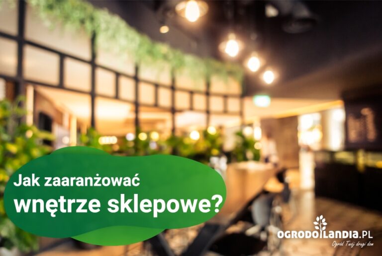 Aranżujemy wnętrze sklepu