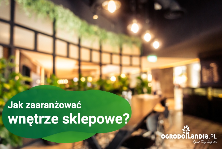 Jak zaaranżować wnętrze sklepowe?