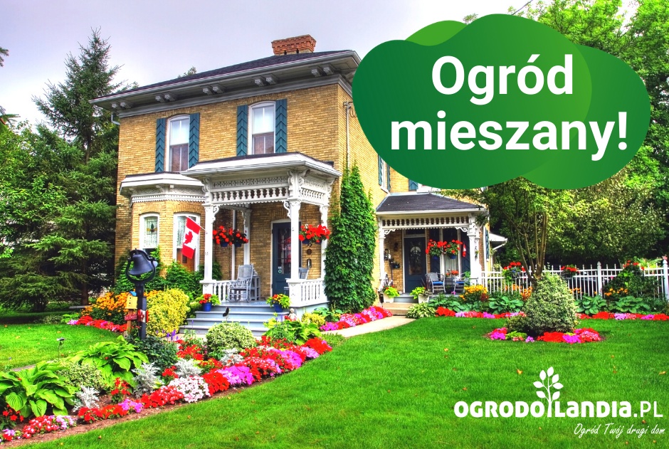 Ogrodowa wariacja czy przepis na sukces? Ogród mieszany!