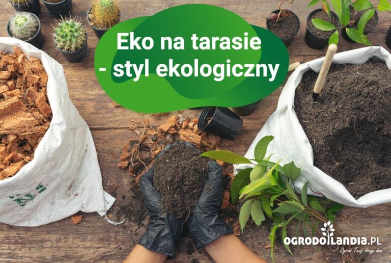 Kilka słów o byciu eko