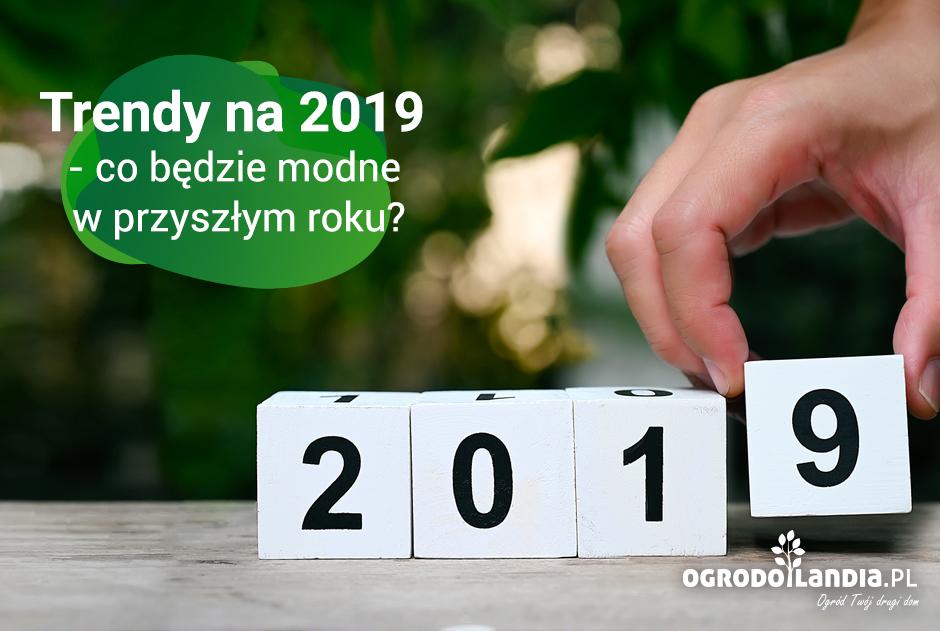 Trendy na 2019 - co będzie modne w przyszłym roku?